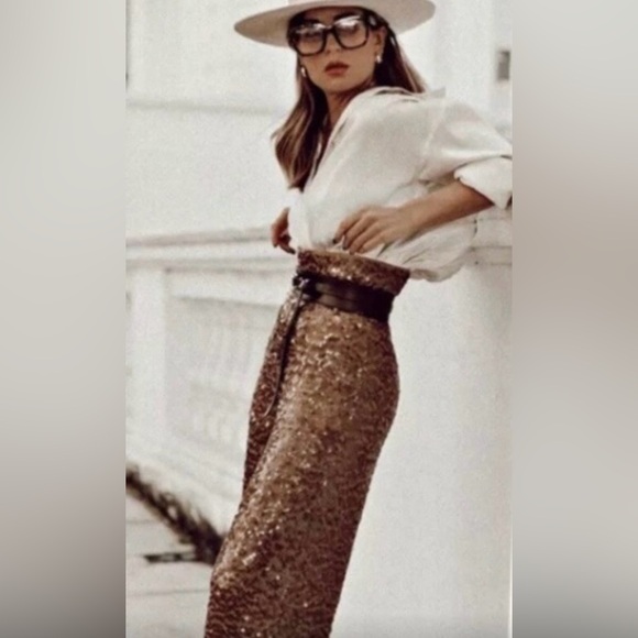 Zara Brown Sequin Pants - Picture 2 of 10